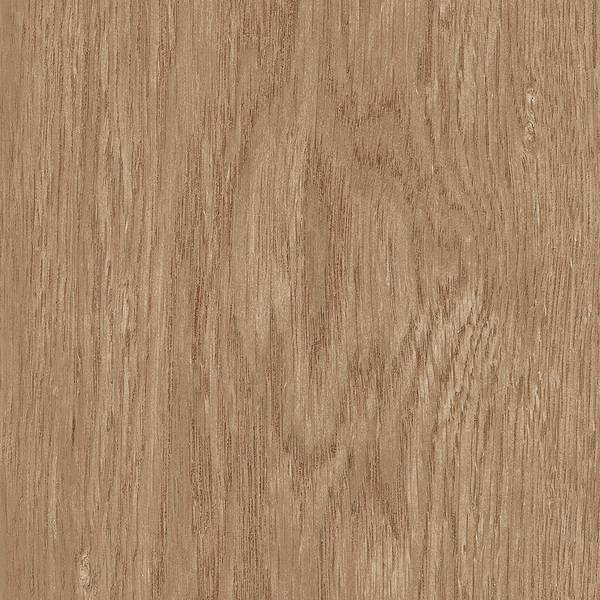 Nut – detailný obrázok