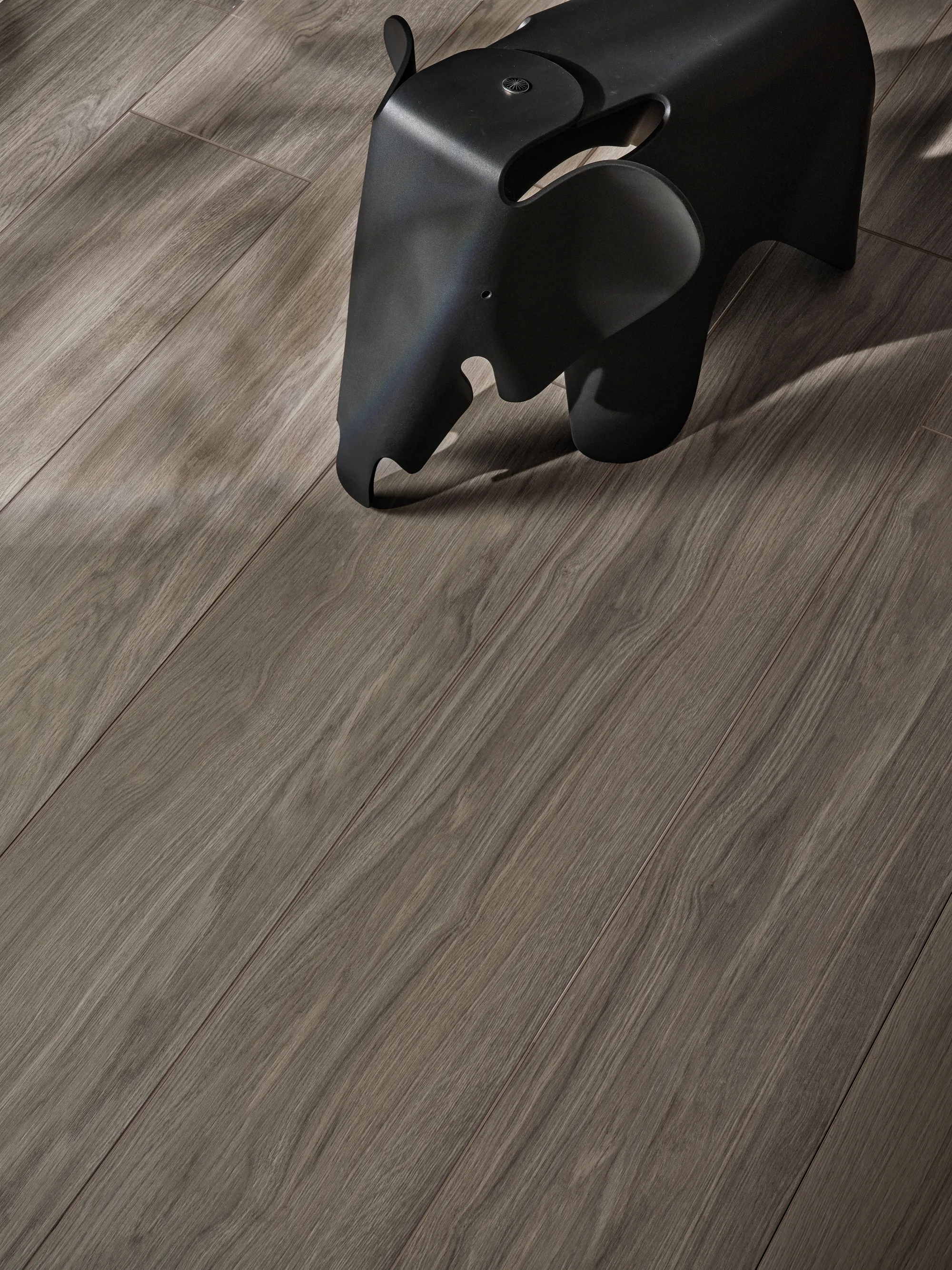 Eik – fotografia 6