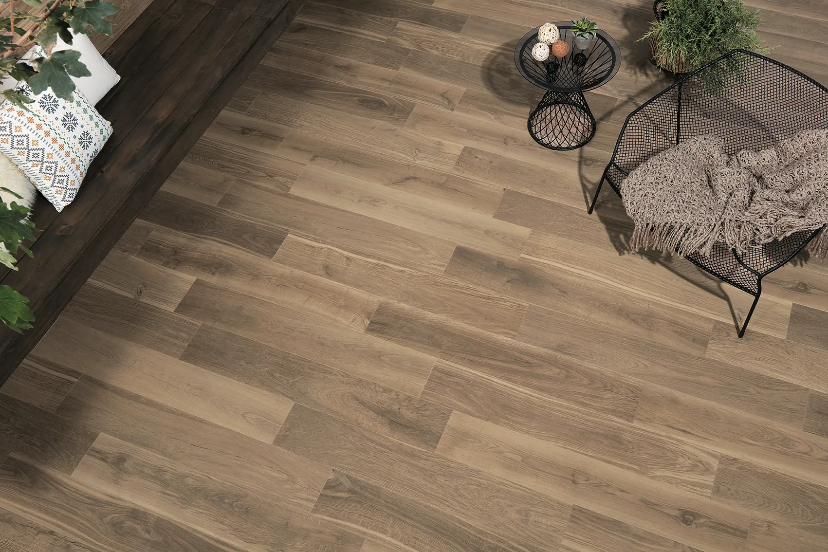 Fap Nest – fotografia 2