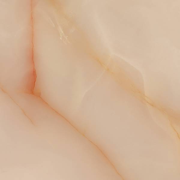 Rosa – detailný obrázok