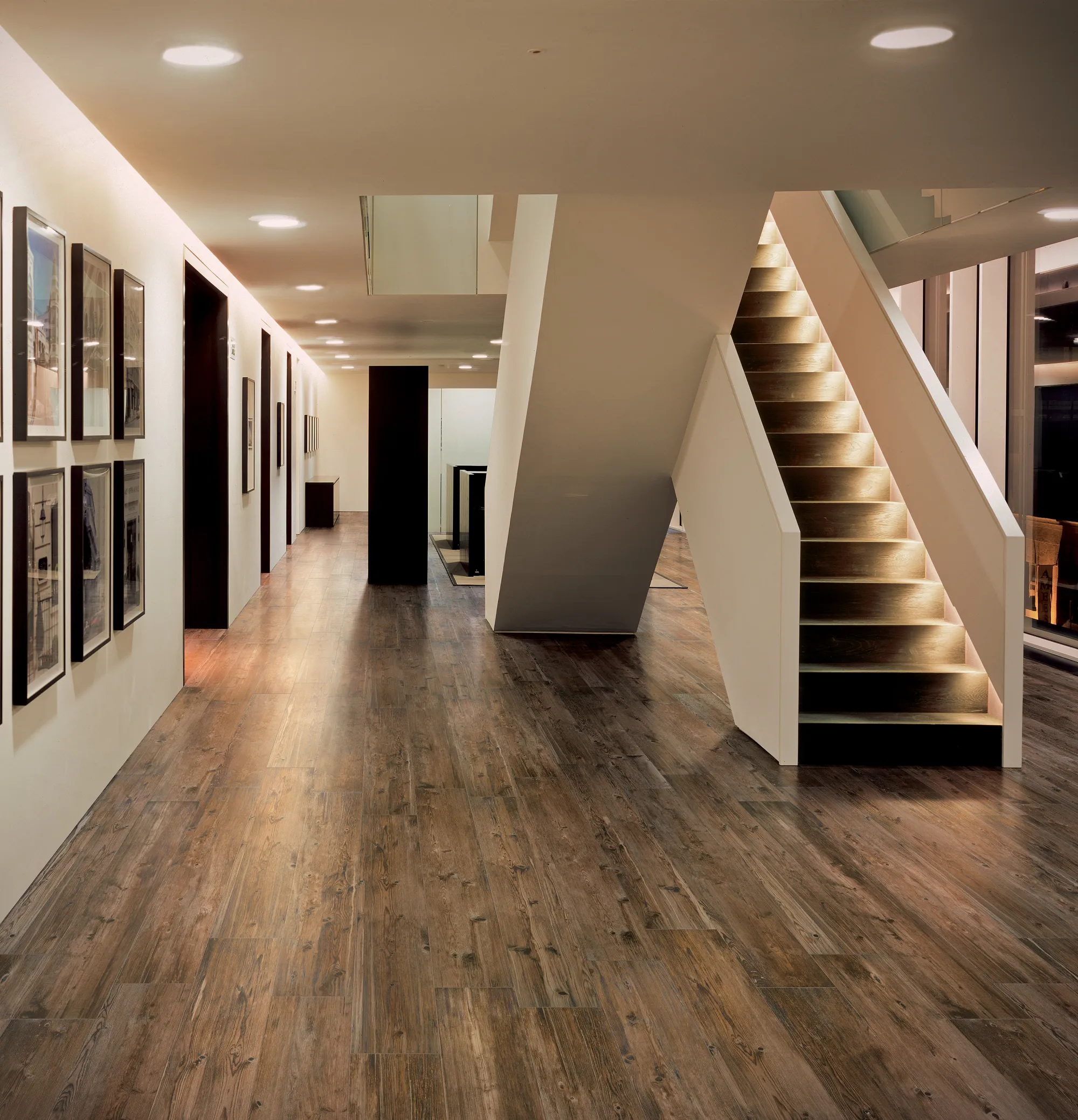 Larix – fotografia 9