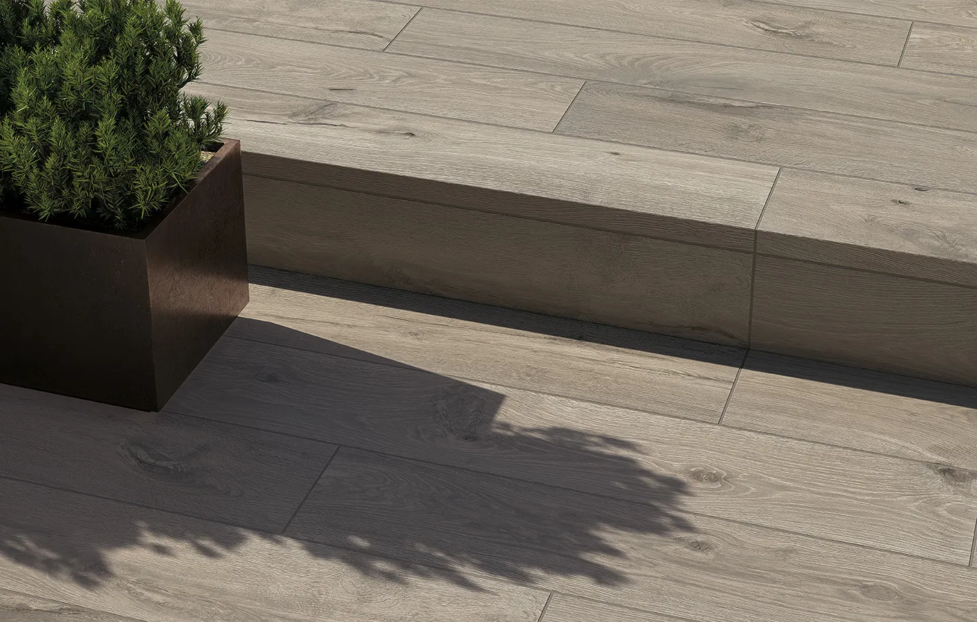 Roots – fotografia 9