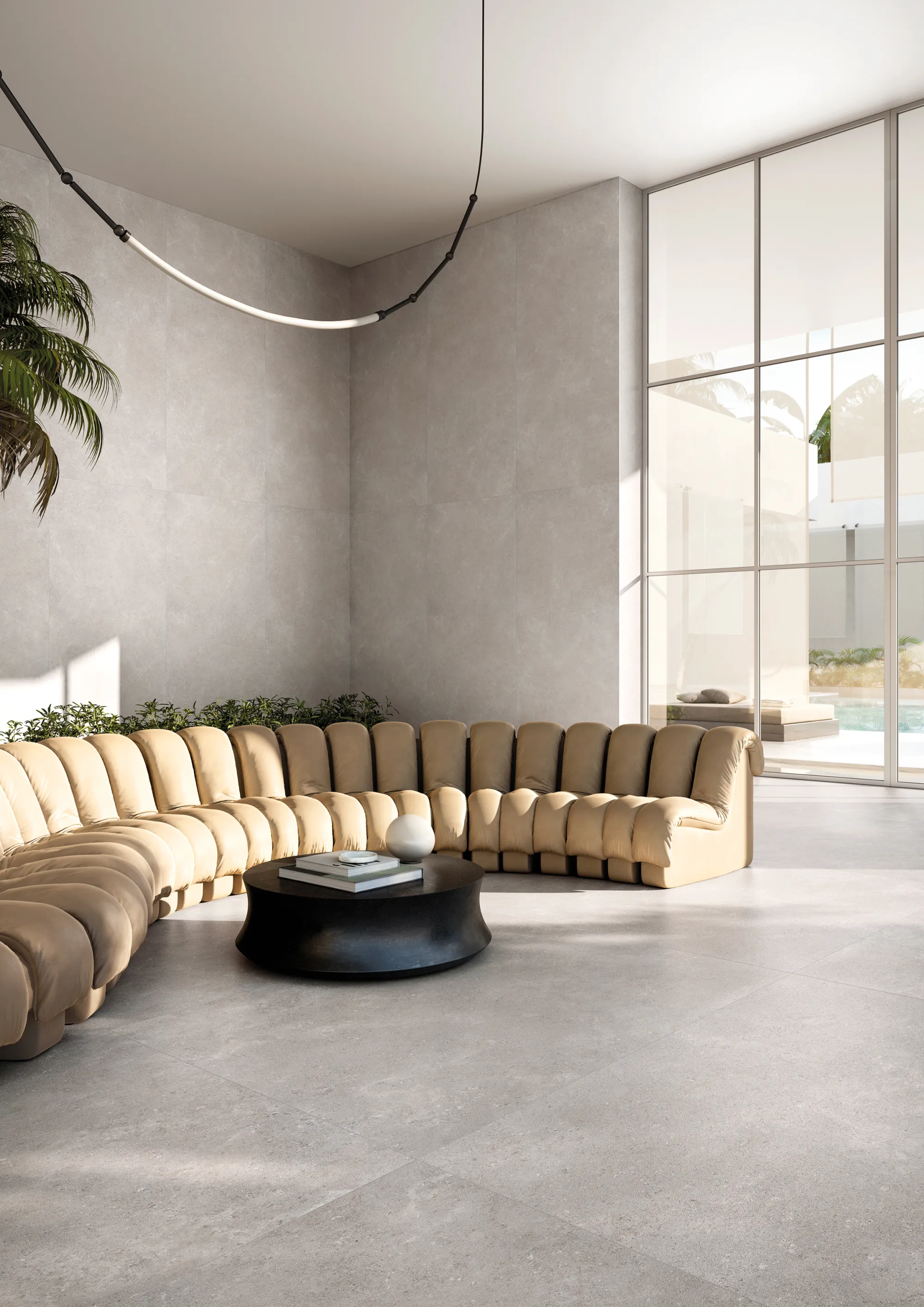 Coquille – fotografia 8