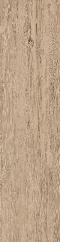 Almond – detailný obrázok