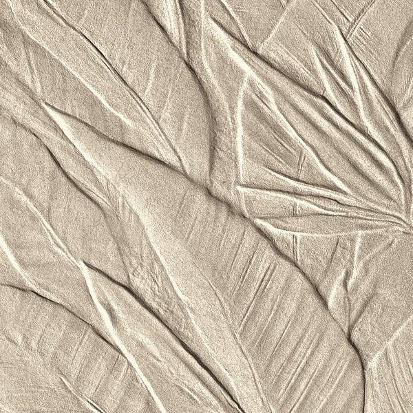 Litia Grey – detailný obrázok