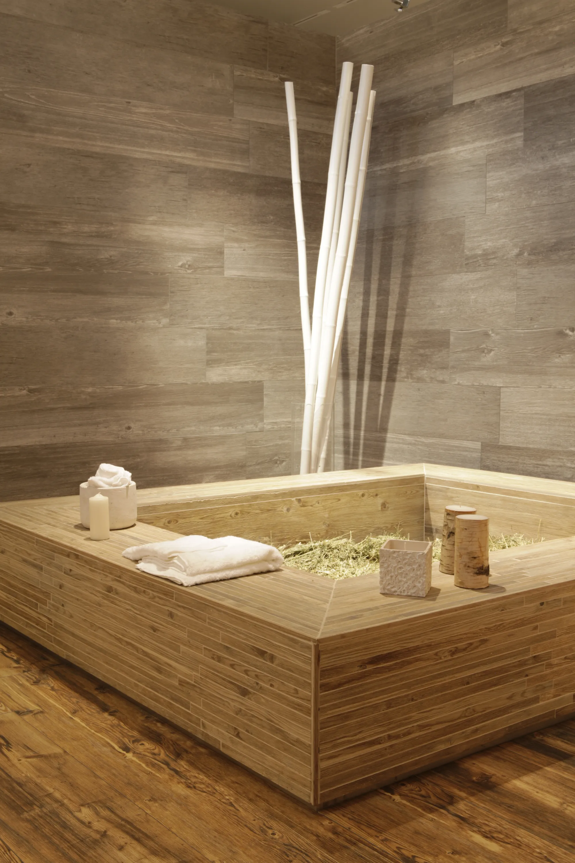 Larix – fotografia 3