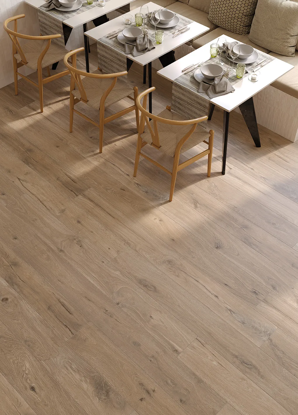 Roots – fotografia 2