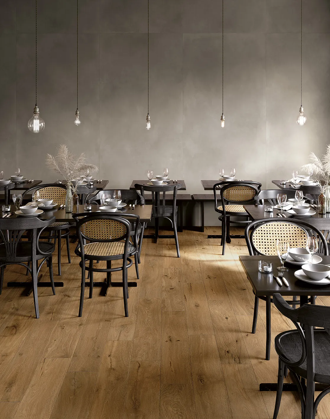 Roots – fotografia 11