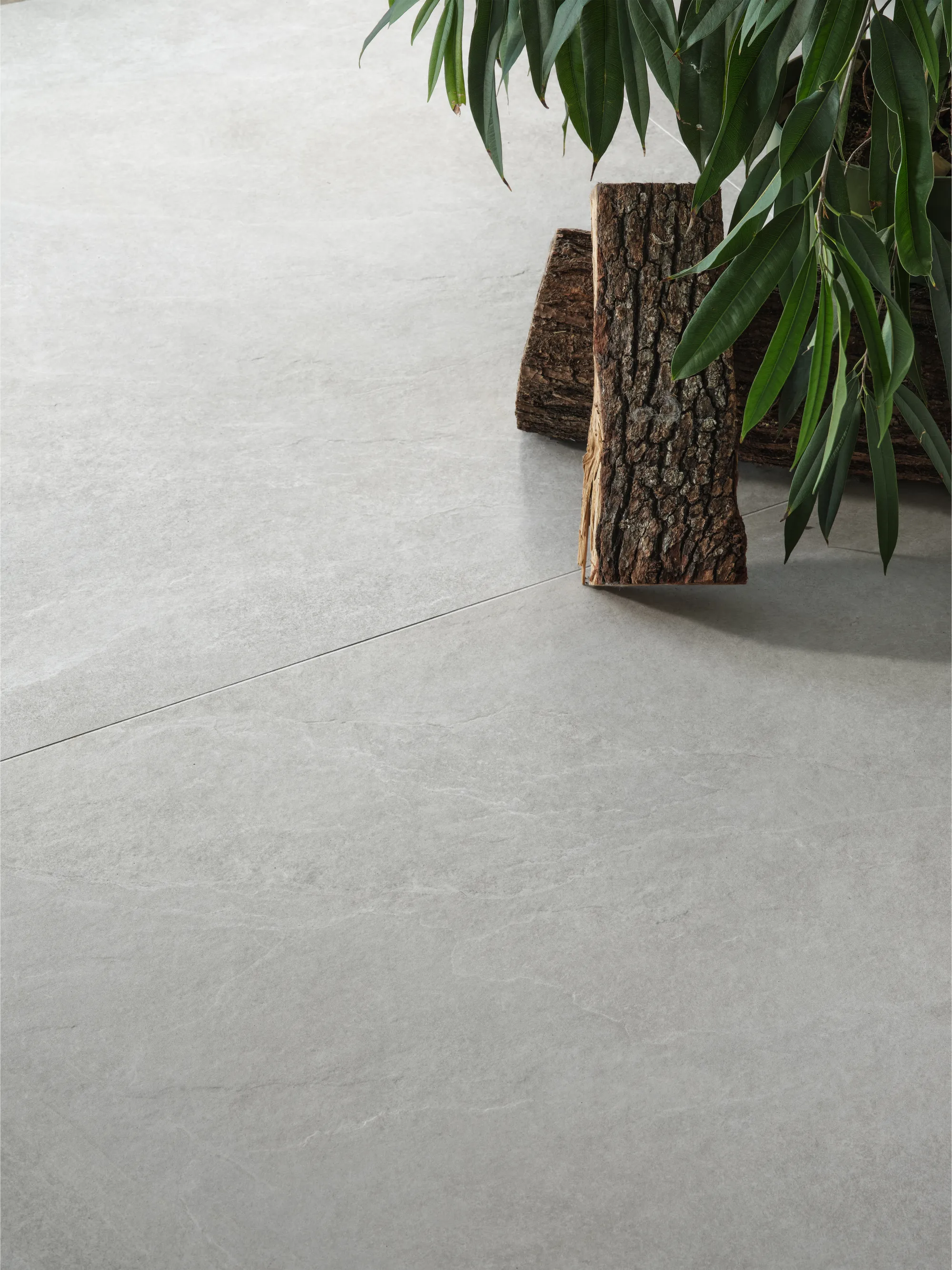 Eras – fotografia 4