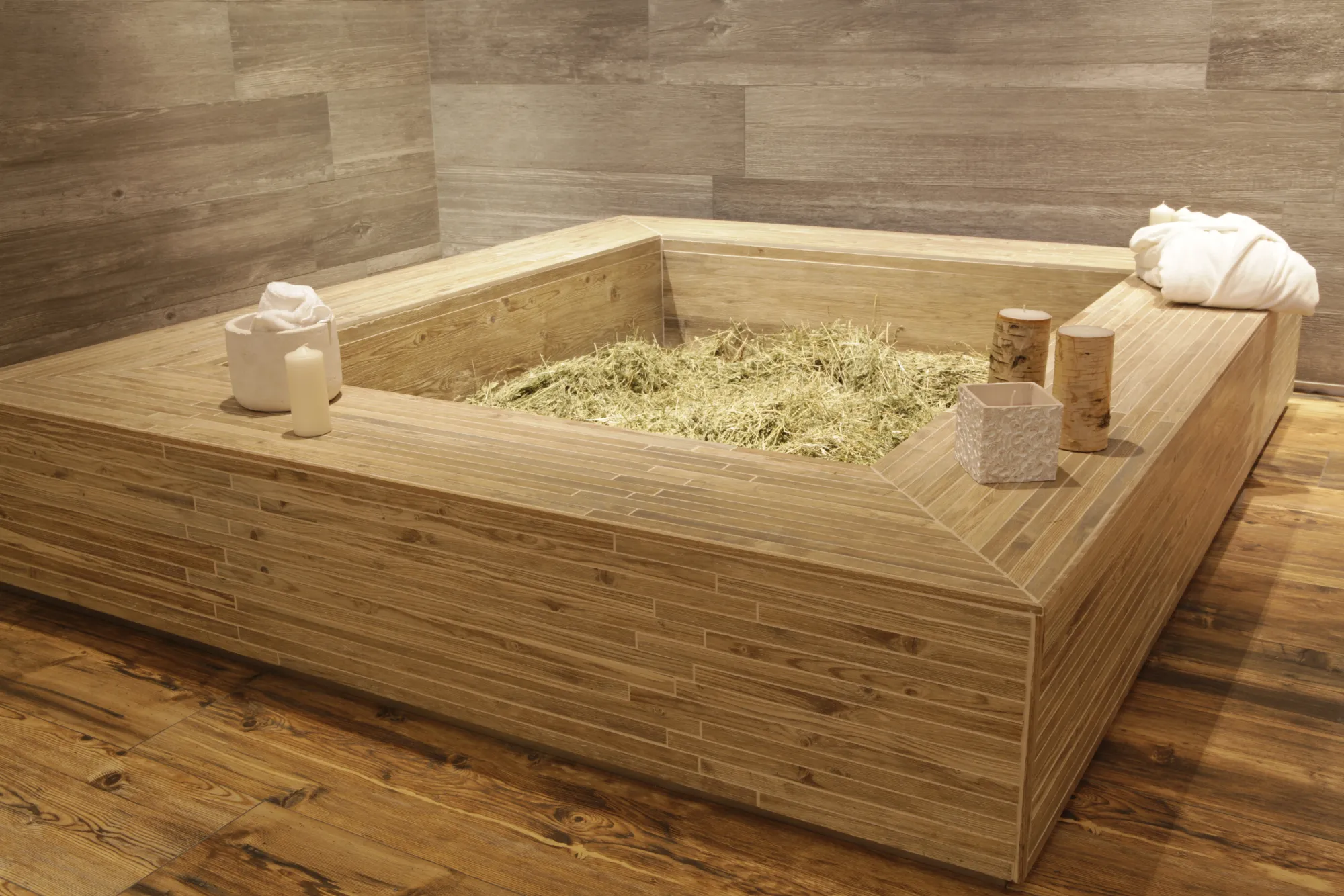 Larix – fotografia 4