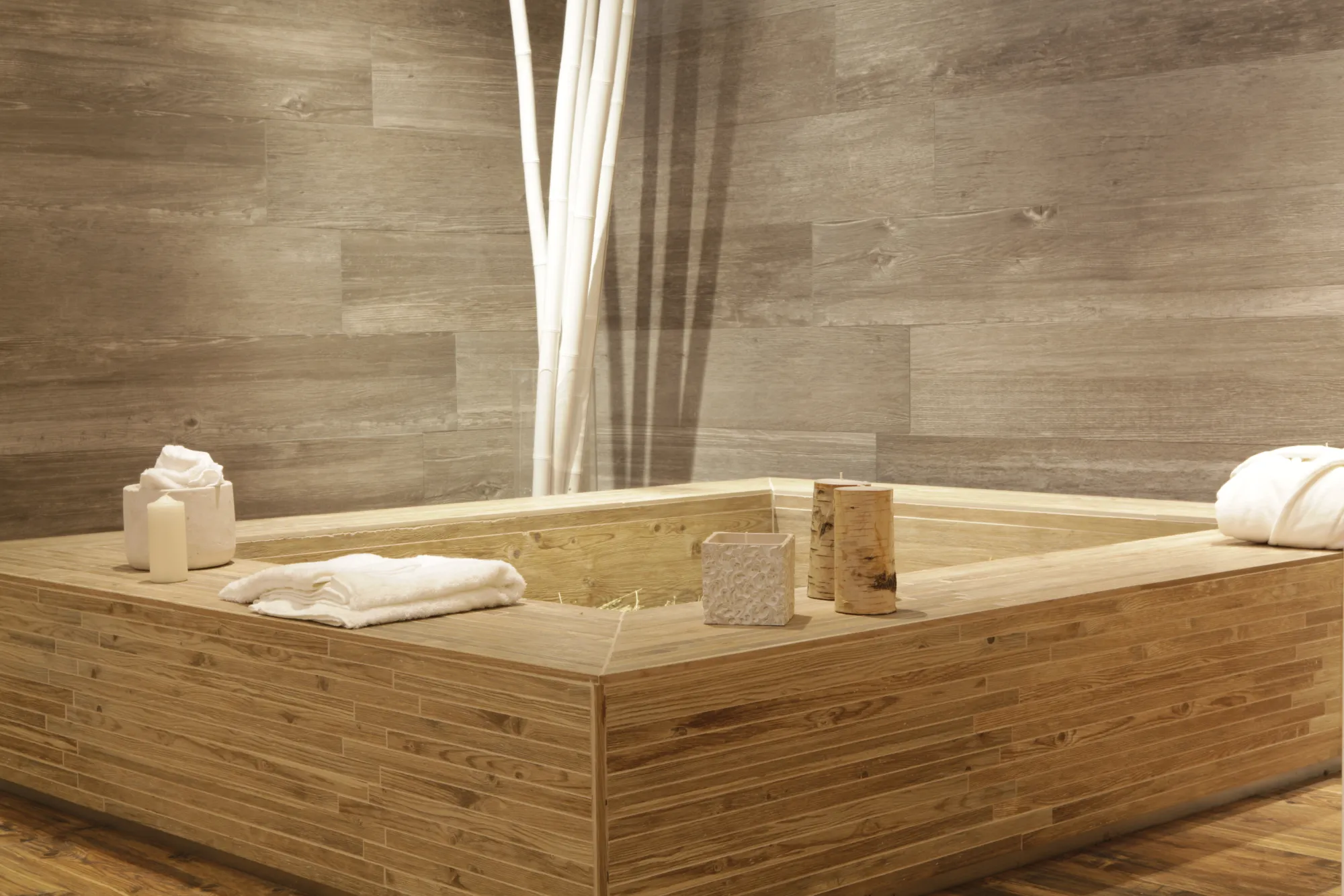 Larix – fotografia 5